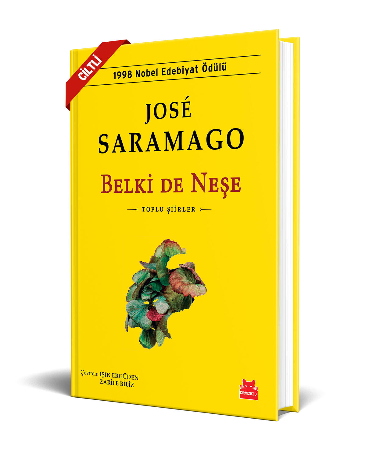 Belki De Neşe - Sert Kapak