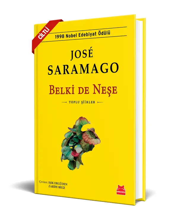 Belki De Neşe - Sert Kapak