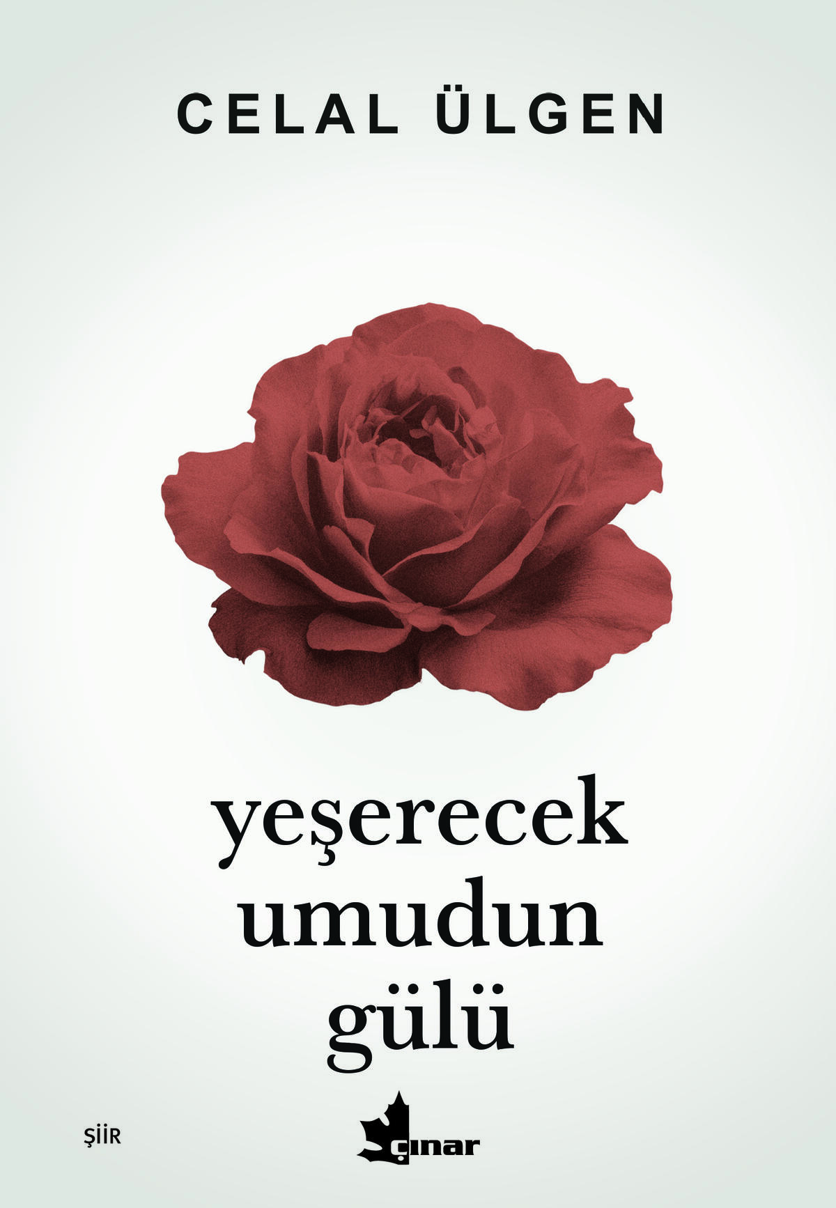 Yeşerecek Umudun Gülü