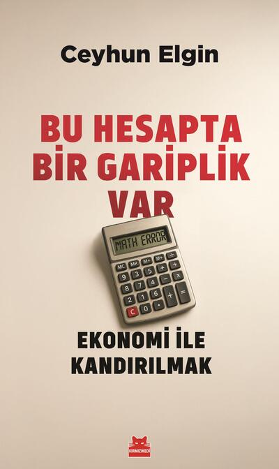 Bu Hesapta Bir Gariplik Var - Ekonomi ile Kandırılmak